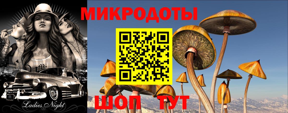 Псилоцибиновые грибы мицелий Бахчисарай